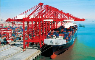 內(nèi)貿(mào)海運物流中心 提升國內(nèi)貨物運輸代理效率的核心樞紐